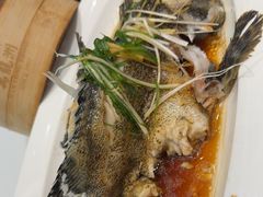 -万龙洲海鲜(大兴绿地缤纷城店)