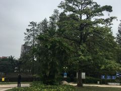 -四海公园(南山区)