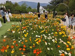 -名花谷生态庄园