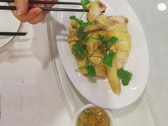 白切鸡项-金苑海鲜酒家(新港中路店)