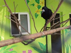 -荆州中山公园动物园