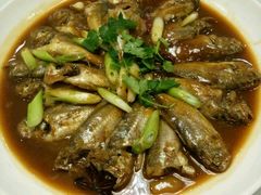 -小船渔村•大连菜•大连焖鱼(明泽街店)