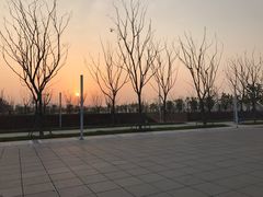 -很久以前羊肉串(打浦路店)