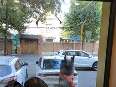 -满兴咱妈烀饼铁锅炖(兰州北街店)