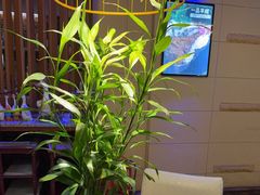 -同喜烤鸭店(光芒店)