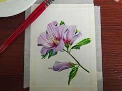 -八哥美术·成人美术画室(总校区)