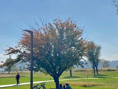 -汉长安城未央宫国家考古遗址公园