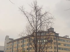-奎星楼街