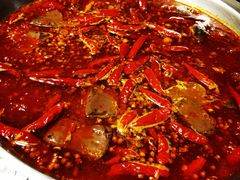 -大龙燚火锅(春熙店)