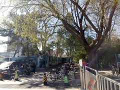 -紫竹院公园-东门停车场