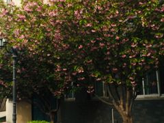 -河南财经政法大学(郑东校区)