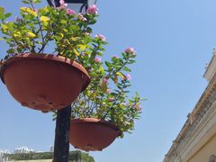 -龙环葡韵住宅式博物馆