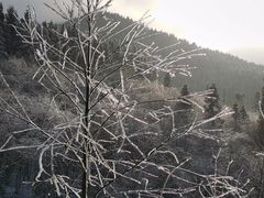 -武陵山森林公园