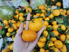 -细村农贸综合市场(沿江路店)