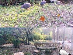 -沈阳鸟岛