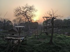 -合肥野生动物园
