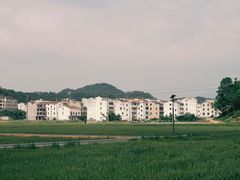 -大陈鸿源牛肉馆(大陈总店)