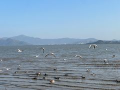 -深圳湾公园(南山区)