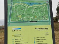 -桂溪生态公园