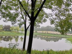 -东郊湿地公园