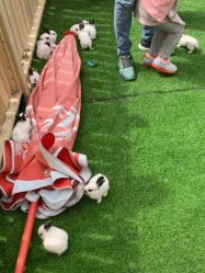 -萌宠亲子动物乐园(槐房万达店)