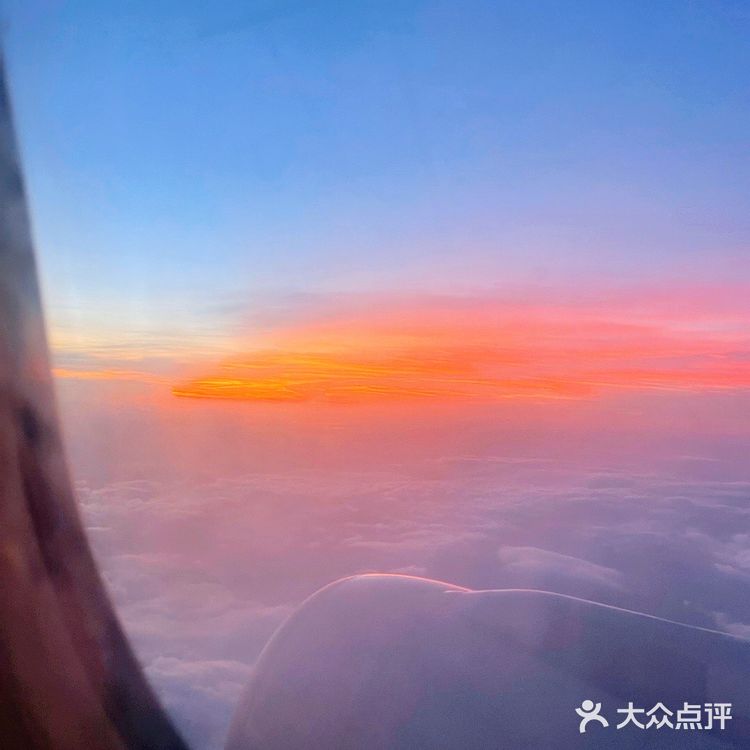 成都天府机场也太好逛了❗️这就是下一个太古里❗️