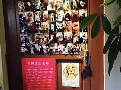 -百好乐宠物友好餐厅(朝外大街店)