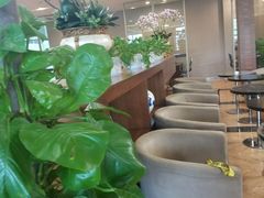 -桃仙机场头等舱休息室