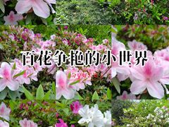 -四川大学(望江校区)