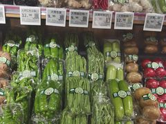 -北国商城