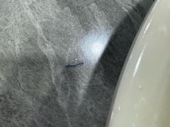 -何永光123鲜牛肉馆(1号店)