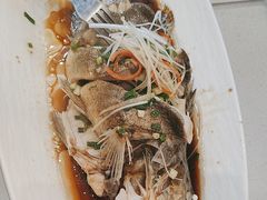 -宝荣鱼馆·临湖之宴(千岛湖店)