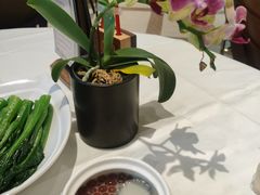 -金河半岛园林酒家(金融城店)