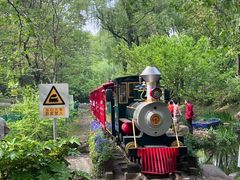 -上海共青森林公园