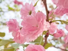 -西北湖绿化广场