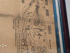 -北京中医药大学-中医药博物馆