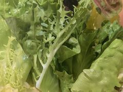 -亮欢寨快活林 酸汤鱼(仁怀店)