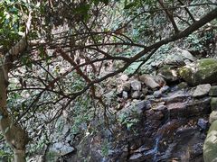 -火炉山森林公园