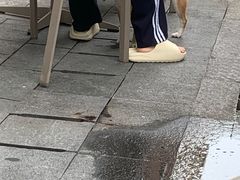 -岐城面馆(黄岐店)