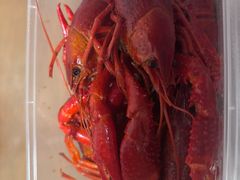 -囍榷·鲜美常州菜(恐龙园店)