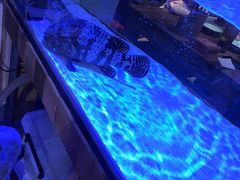 -十六蒲(桂林路店)