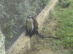 -杭州野生动物世界