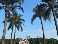 -南宁南湖公园