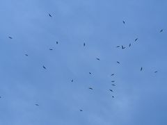 -金巴兰海滩烛光bbq