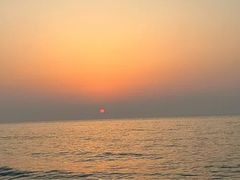 -渡海小渔村.老辈日照菜