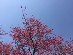 -白塘生态植物园