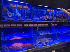 -協成海鮮火鍋(老店)