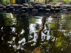 -融汇温泉