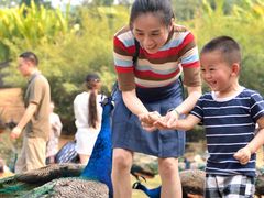 -西双版纳勐泐文化旅游区