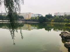 -西南政法大学(渝北校区)